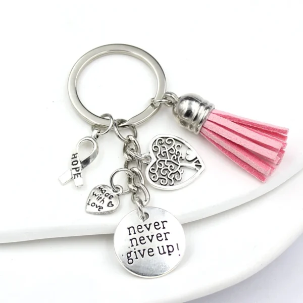 A Charms Key Chain with a pink ribbon and tassel.