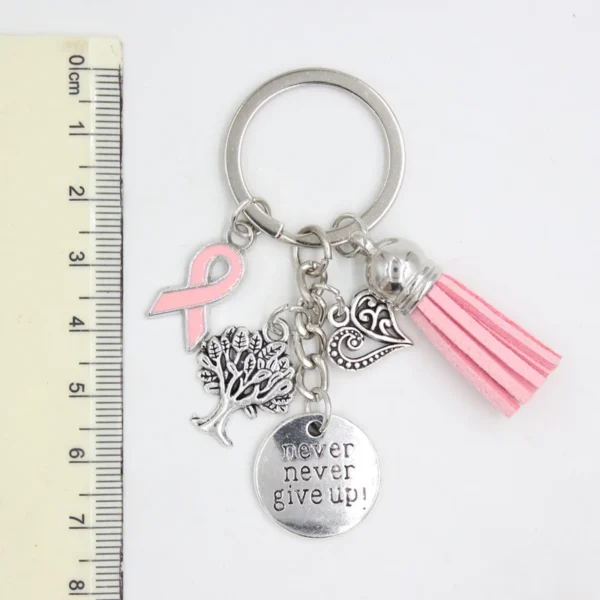 A Charms Key Chain with a pink ribbon and tassel.