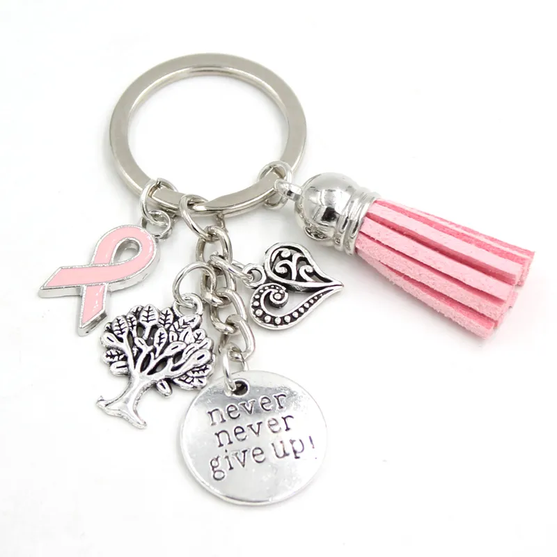 A Charms Key Chain with a pink ribbon and tassel.